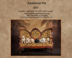 Additional Pet Click to see larger. Additional Pet