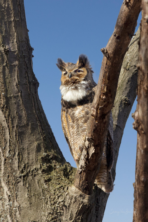 On Alert